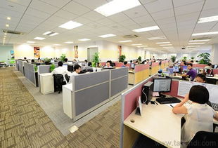 苏州进口涂料油漆代理报关服务全解析 价格、厂家、货运代理与图片展示